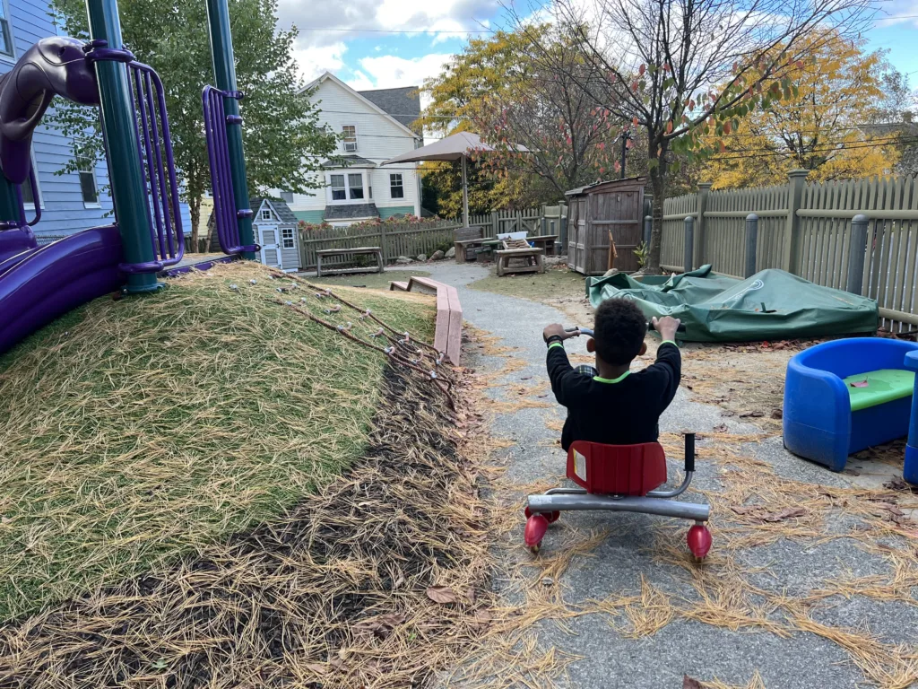 child riding tricycle away from viewer, surrounded by fallen brown pine needles